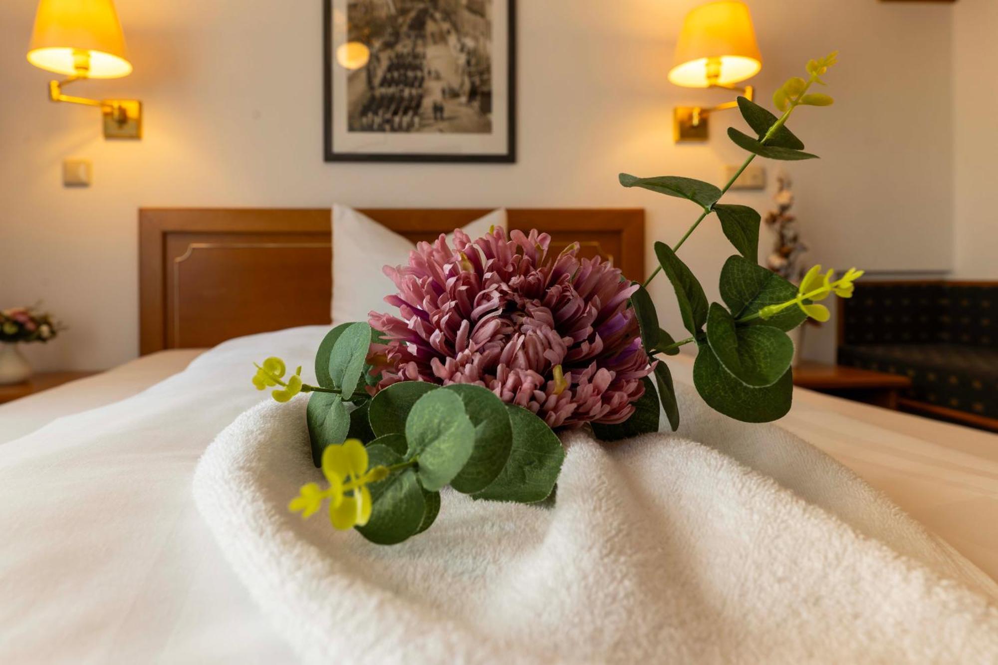 Hotel Alekto Freiberg Buitenkant foto